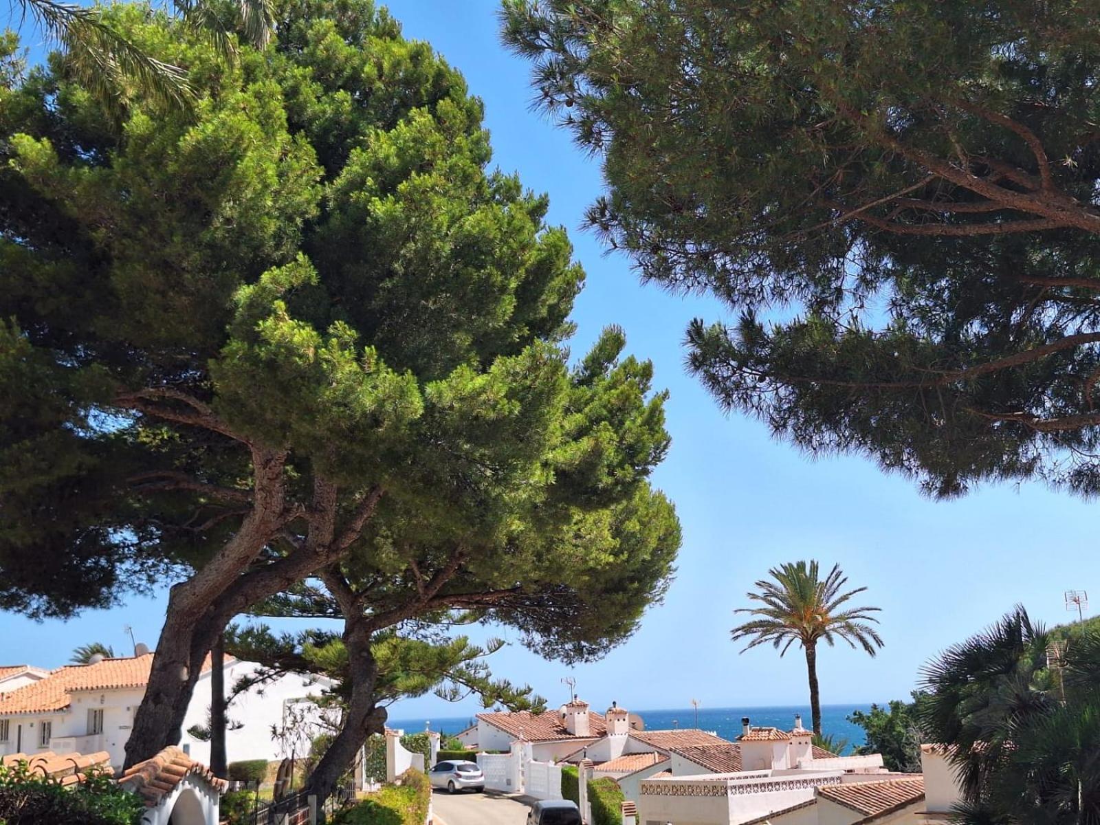 Ferienwohnung La Casa Catharina Málaga Exterior foto